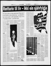 Síða 13
