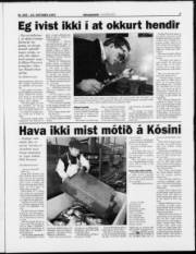 Síða 28