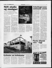 Síða 30