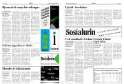 Síða 17