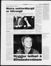 Síða 6