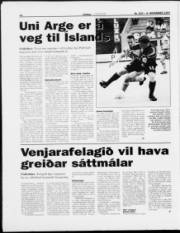 Síða 13