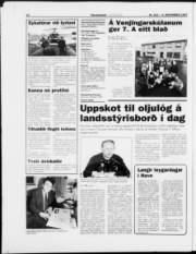 Síða 15