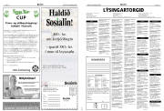 Síða 20