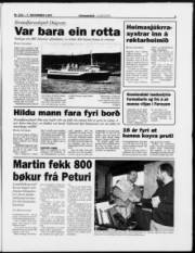 Síða 3