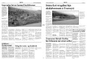 Síða 3