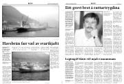 Síða 4