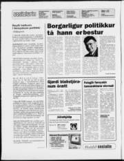 Síða 2