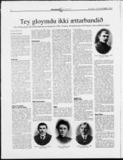 Síða 12