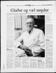 Síða 17
