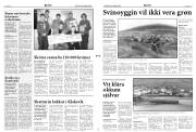 Síða 2