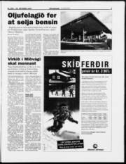 Síða 3