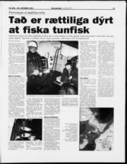 Síða 11