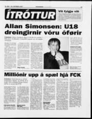 Síða 13