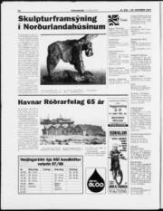 Síða 22
