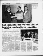 Síða 19