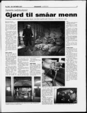 Síða 3