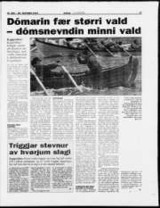 Síða 17