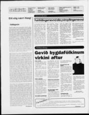 Síða 2