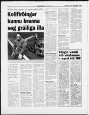 Síða 6