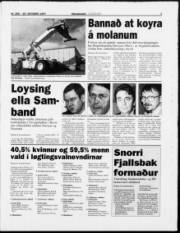 Síða 7