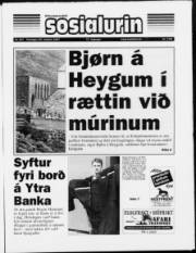 Síða 1