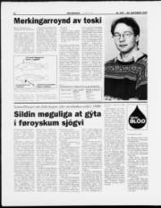 Síða 12