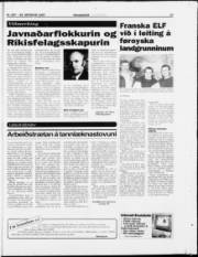 Síða 17