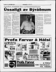 Síða 3