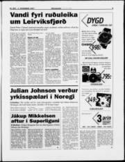 Síða 3