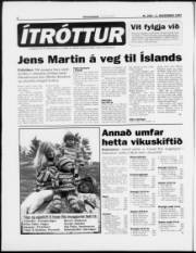 Síða 6
