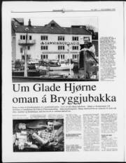 Síða 12
