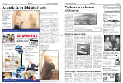 Síða 2