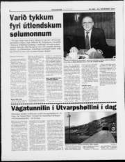 Síða 6