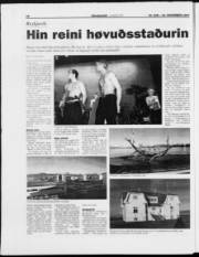 Síða 18