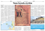 Síða 8