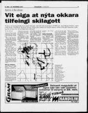 Síða 3