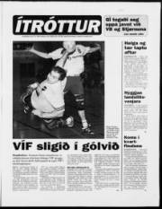 Síða 11