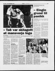 Síða 13