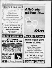 Síða 19