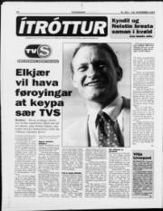 Síða 22