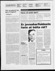 Síða 2