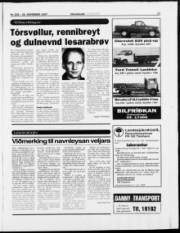 Síða 17