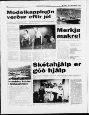 Síða 12