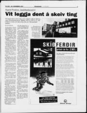 Síða 3