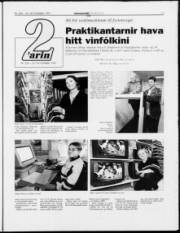 Síða 11