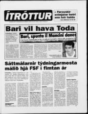 Síða 13