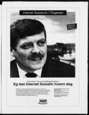 Síða 3