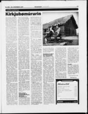 Síða 11