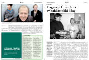 Síða 13